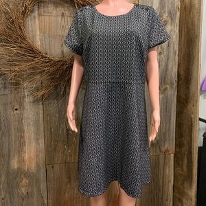 Ann Taylor Loft Button Neck Dress